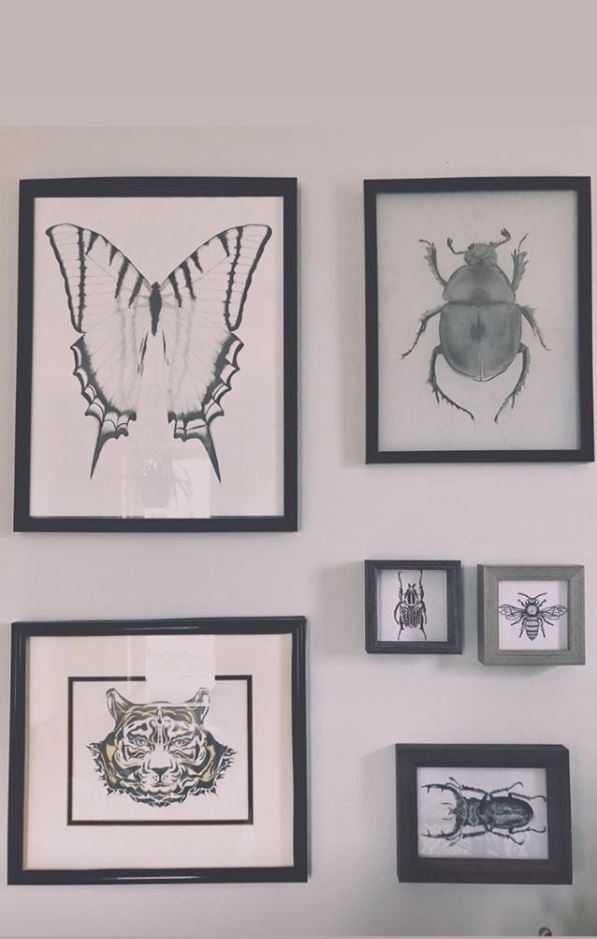 Bugs n You