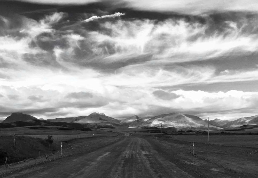 TONY SINISGALLI photography collection