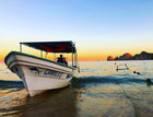 TONY SINISGALLI photography collection