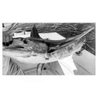 TONY SINISGALLI photography collection