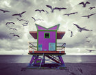 TONY SINISGALLI photography collection